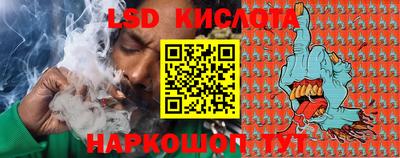 прущие грибы Можга