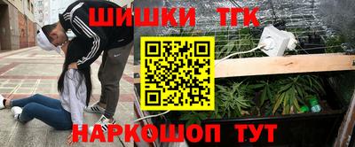 прущие грибы Можга