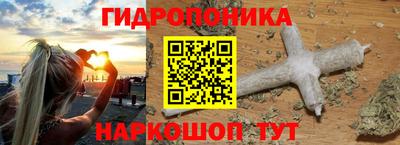 прущие грибы Можга