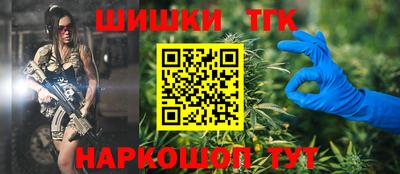 прущие грибы Можга