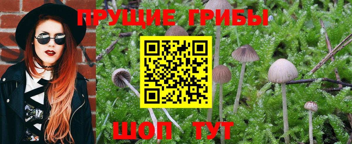 Псилоцибиновые грибы MAGIC MUSHROOMS  Вход с VPN  Улан-Удэ 